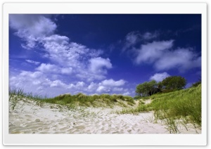 Grass In The Sand Ultra HD Wallpaper for 4K UHD Widescreen Desktop, Lockscreen, Screensaver, TV, Tablet, Smartphone