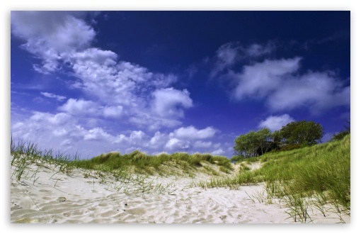 Grass In The Sand UltraHD Wallpaper for HD 16:9 ; Widescreen 16:10 5:3 ; Fullscreen 4:3 5:4 3:2 ; Tablet 1:1 ; Mobile 3:5 3:4 ;