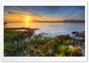 Grass Lake HDR Ultra HD Wallpaper for 4K UHD Widescreen desktop, tablet & smartphone