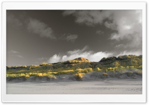 Grass On The Beach Ultra HD Wallpaper for 4K UHD Widescreen desktop, tablet & smartphone