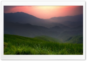 Grasslands Ultra HD Wallpaper for 4K UHD Widescreen desktop, tablet & smartphone