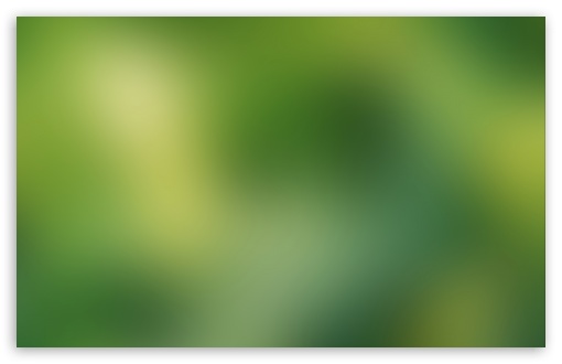 Green Blurry Background Ultra HD Desktop Background Wallpaper for 4K UHD TV  : Tablet : Smartphone