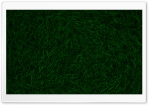 Green Carpet Abstract Ultra HD Wallpaper for 4K UHD Widescreen desktop, tablet & smartphone