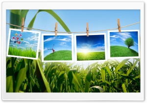Green Collage Ultra HD Wallpaper for 4K UHD Widescreen desktop, tablet & smartphone