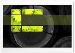 Green Desktop Ultra HD Wallpaper for 4K UHD Widescreen desktop, tablet & smartphone