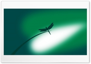 Green Dragonfly Ultra HD Wallpaper for 4K UHD Widescreen desktop, tablet & smartphone