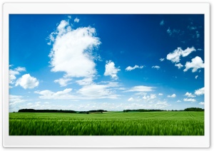 Green Field Ultra HD Wallpaper for 4K UHD Widescreen desktop, tablet & smartphone