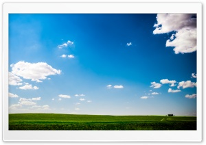 Green Field Nature Blue Sky Ultra HD Wallpaper for 4K UHD Widescreen desktop, tablet & smartphone