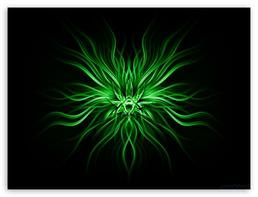 green flower UltraHD Wallpaper for Fullscreen 4:3 ;