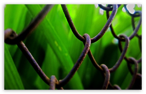 Green Grass UltraHD Wallpaper for UHD 16:9 ; HD 16:9 ; Widescreen 16:10 5:3 ; Fullscreen 4:3 ;