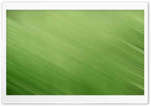 Green HD Ultra HD Wallpaper for 4K UHD Widescreen desktop, tablet & smartphone