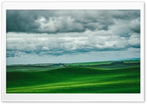 Green Hills Landscape in Washington Whitman 4K UHD Wallpaper for Widescreen and UltraWide Desktop, UltraHD TV, Smartphone, Tablet