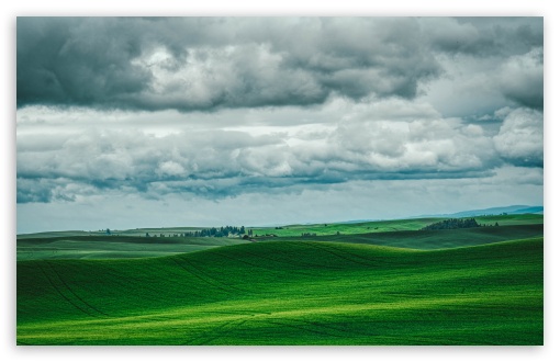 Green Hills Landscape in Washington Whitman UltraHD Wallpaper for UHD 16:9 ; HD 16:9 ; UltraWide 21:9 24:10 32:9 32:10 ; Widescreen 16:10 5:3 ; Fullscreen 4:3 5:4 3:2 ; Tablet 1:1 ; Mobile 9:16 9:19.5 9:20 9:21 9:22 10:16 2:3 3:5 3:4 ; Dual 16:10 5:3 16:9 4:3 5:4 3:2 ;