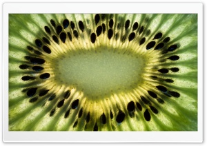 Green Kiwi Slice, Seeds, Macro Ultra HD Wallpaper for 4K UHD Widescreen desktop, tablet & smartphone