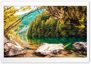 Green Lake, Forest Ultra HD Wallpaper for 4K UHD Widescreen desktop, tablet & smartphone