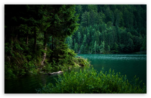 Green Lake Surrounded by Mountain Forest UltraHD Wallpaper for UHD 16:9 ; HD 16:9 ; UltraWide 21:9 24:10 ; Widescreen 16:10 ; Fullscreen 3:2 ; Tablet 1:1 ; Mobile 9:16 9:19.5 9:20 9:21 9:22 ;