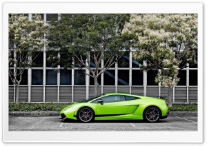 Green Lamborghini Gallardo Superleggera Ultra HD Wallpaper for 4K UHD Widescreen desktop, tablet & smartphone