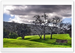 Green Landscape HDR Ultra HD Wallpaper for 4K UHD Widescreen desktop, tablet & smartphone