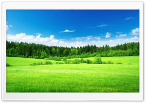 Green Landscape, Nature, Blue Sky 4K UHD Wallpaper for Widescreen and UltraWide Desktop, UltraHD TV, Smartphone, Tablet