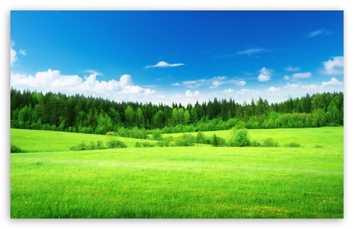 Green Landscape, Nature, Blue Sky UltraHD Wallpaper for UHD 16:9 ; HD 16:9 ; UltraWide 21:9 24:10 32:9 32:10 ; Widescreen 16:10 5:3 ; Fullscreen 4:3 5:4 3:2 ; Tablet 1:1 ; Mobile 9:16 9:19.5 9:20 9:21 9:22 10:16 2:3 3:5 3:4 ; Dual 16:10 5:3 16:9 4:3 5:4 3:2 ;