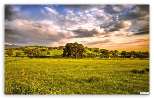 Green Meadow UltraHD Wallpaper for Wide 16:10 Widescreen WHXGA WQXGA WUXGA WXGA ;