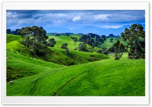 Green Meadow Hills Landscape Ultra HD Wallpaper for 4K UHD Widescreen Desktop, Lockscreen, Screensaver, TV, Tablet, Smartphone