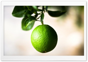 Green orange... wait Ultra HD Wallpaper for 4K UHD Widescreen desktop, tablet & smartphone
