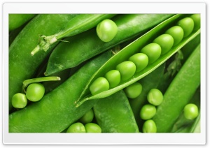 Green Pea Macro Ultra HD Wallpaper for 4K UHD Widescreen desktop, tablet & smartphone