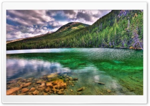 Green Reflections Ultra HD Wallpaper for 4K UHD Widescreen desktop, tablet & smartphone