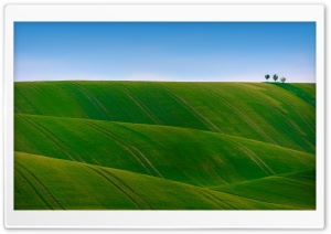 Green Rolling Hills Ultra HD Wallpaper for 4K UHD Widescreen desktop, tablet & smartphone