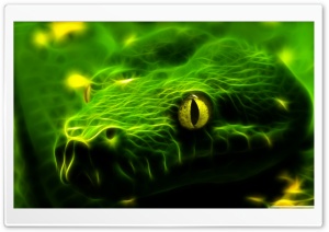 Green Snake 4K UHD Wallpaper for Widescreen and UltraWide Desktop, UltraHD TV, Smartphone, Tablet