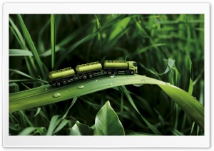 Green Truck Ultra HD Wallpaper for 4K UHD Widescreen desktop, tablet & smartphone