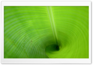 Green Tube Ultra HD Wallpaper for 4K UHD Widescreen desktop, tablet & smartphone