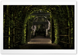 Green Tunnel Ultra HD Wallpaper for 4K UHD Widescreen desktop, tablet & smartphone