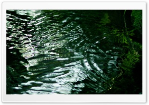 Green Water Ultra HD Wallpaper for 4K UHD Widescreen desktop, tablet & smartphone