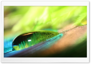 Green Water Drop Bokeh Ultra HD Wallpaper for 4K UHD Widescreen desktop, tablet & smartphone