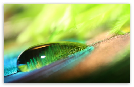 Green Water Drop Bokeh UltraHD Wallpaper for UHD 16:9 2160p 1440p 1080p 900p 720p ; 8K UHD TV 16:9 Ultra High Definition 2160p 1440p 1080p 900p 720p ; Widescreen 16:10 5:3 WHXGA WQXGA WUXGA WXGA WGA ; Fullscreen 4:3 5:4 3:2 UXGA XGA SVGA QSXGA SXGA DVGA HVGA HQVGA ( Apple PowerBook G4 iPhone 4 3G 3GS iPod Touch ) ;