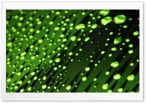 Green Water Droplets Ultra HD Wallpaper for 4K UHD Widescreen desktop, tablet & smartphone
