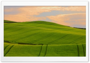 Green Wavy Hills Ultra HD Wallpaper for 4K UHD Widescreen desktop, tablet & smartphone