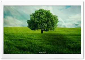 GreenTree Ultra HD Wallpaper for 4K UHD Widescreen desktop, tablet & smartphone