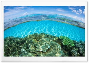 Half Underwater Half Above Water Ultra HD Wallpaper for 4K UHD Widescreen desktop, tablet & smartphone