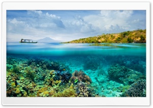 Half Underwater Half Above Water Photography Ultra HD Wallpaper for 4K UHD Widescreen desktop, tablet & smartphone