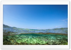 Half Underwater Shot Ultra HD Wallpaper for 4K UHD Widescreen desktop, tablet & smartphone