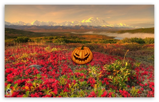 Halloween 027 UltraHD Wallpaper for Widescreen 16:10 ;