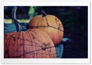 Halloween 2015 Decorations Ultra HD Wallpaper for 4K UHD Widescreen desktop, tablet & smartphone