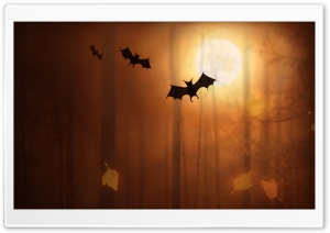 Halloween Bats Ultra HD Wallpaper for 4K UHD Widescreen desktop, tablet & smartphone