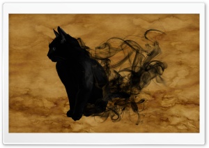 Halloween Black Cat Ultra HD Wallpaper for 4K UHD Widescreen desktop, tablet & smartphone