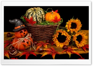 Halloween Decorations  2016 Ultra HD Wallpaper for 4K UHD Widescreen desktop, tablet & smartphone