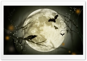Halloween Moon Ultra HD Wallpaper for 4K UHD Widescreen desktop, tablet & smartphone
