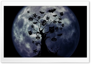 Halloween Owls and Bats Ultra HD Wallpaper for 4K UHD Widescreen desktop, tablet & smartphone